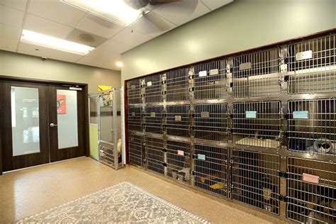 Veterinary Hospital, Vet Construction | Hospital design, Medical office ...