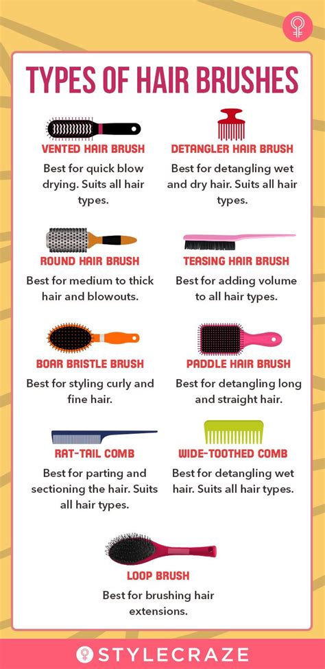 Hair Brush Guide, Best Hair Brush, Round Hair Brush, Hair Color Brush ...