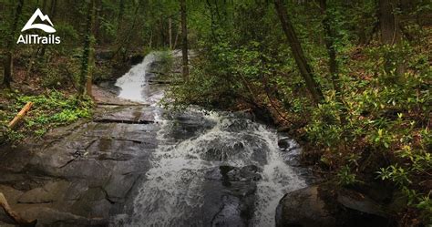 Best Trails near Cherry Log, Georgia | AllTrails