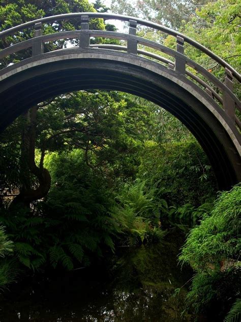 Japanese garden, San Francisco | Japanese tea garden, Japanese garden, San francisco travel