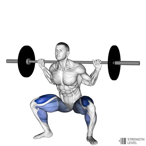 Sumo Squat Standards for Men and Women (lb) - Strength Level