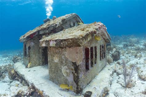 Discover the World’s Underwater Museums | PrivatSea | PrivatSea