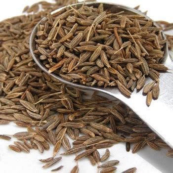 Cumin Seeds at best price in Mumbai by Mahalaxmi Krushi Seva Kendra | ID: 5698263197