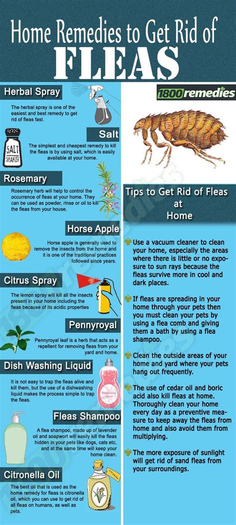 Remedies to get rid of fleas. … | Home remedies for fleas, Flea remedies, Pet remedies