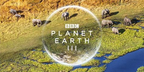 BBC ha annunciato cinque nuove serie di documentari sulla natura, tra cui “Planet Earth III ...