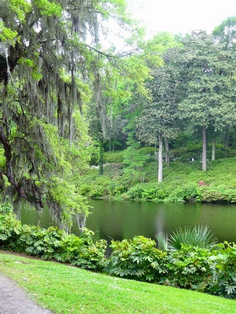 Scrumpdillyicious: Middleton Place & Gardens: A National Landmark