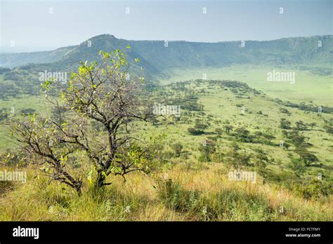 Crater, Queen Elizabeth National Park, Uganda Stock Photo - Alamy