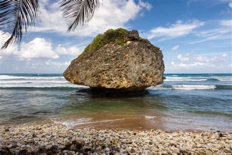 Bathsheba Beach Reviews | U.S. News Travel