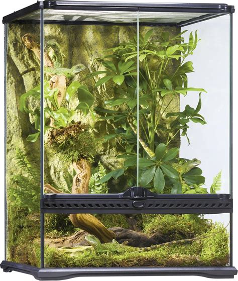 Exo Terra AllGlass Terrarium - 18 x 18 x 24 Inches 15561226073 | eBay