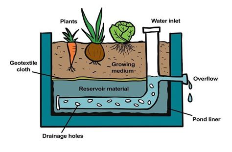 Watering Raised Garden Beds, Garden Watering System, Self Watering Containers, Diy Raised Garden ...