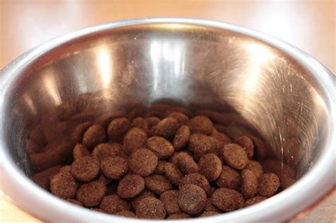 The Best Hypoallergenic Dog Food | Hypoallergenic Dog