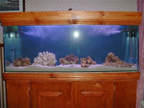 Fish tank and stand 40 gallon tank 4ft long | in Stockport, Manchester ...