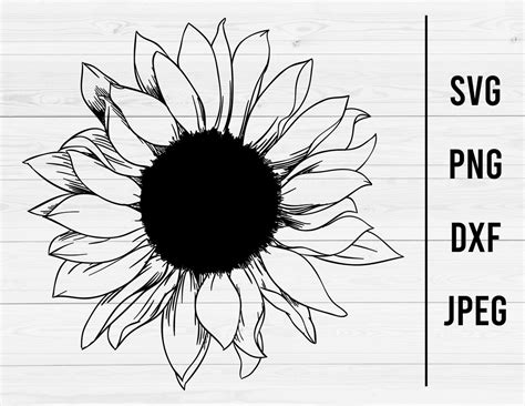 Sunflower SVG Sunflower Silhouette SVG Files for Cricut - Etsy