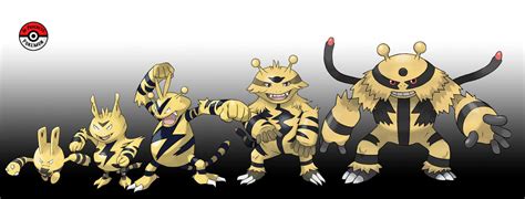 239 - 466 Electabuzz Line by InProgressPokemon on DeviantArt