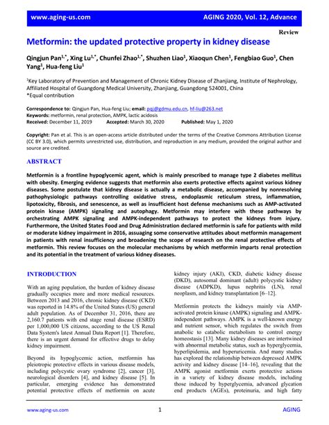 (PDF) Metformin: The updated protective property in kidney disease