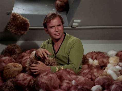 Tribbles Star Trek Quotes. QuotesGram