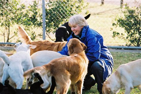 One of our trainers playing with the future Guide Dogs at Glossodia. Guide Dog, Beautiful Dogs ...