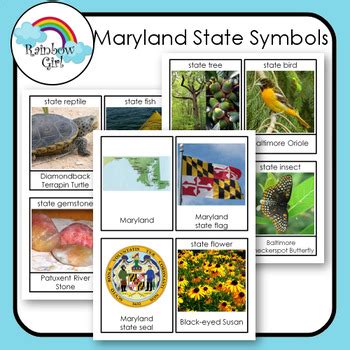 Maryland State Symbols by Rainbow Girl | TPT