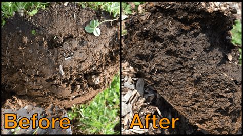 How to Fix Clay Soil (and save the world!) - The Outdoor Omnivore