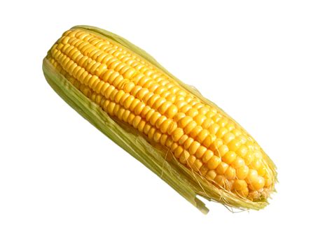 Corn (Maize) PNG Transparent Images