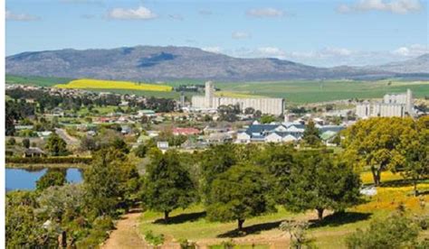 Overberg District Information and Towns - Hermanus Magazine