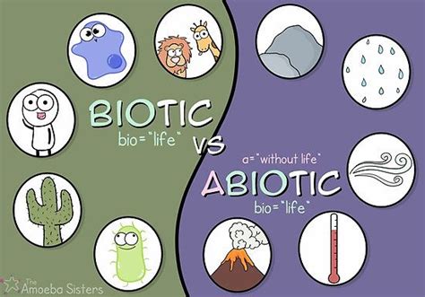 "Biotic vs Abiotic Poster" Poster for Sale by amoebasisters | Abiotic, Biotic, 6th grade science