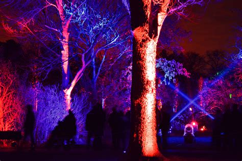 Holiday Lights at Morton Arboretum Illumination - Shawna Coronado