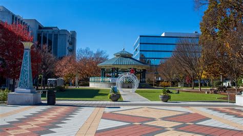 Decatur rolling out food cart program | 11alive.com