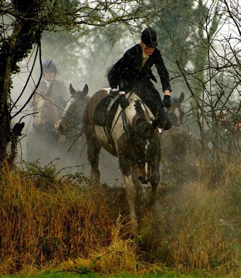 Flying Foxes Sidesaddle Association, Fox Hunting in Ireland. | Horse love, Beautiful horses, Fox ...