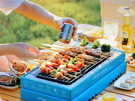 10 Best Disposable Grills and Guide | My Chinese Recipes