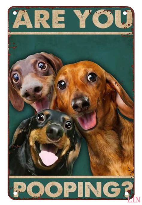 Funny Metal Signs Decor Dachshund are You Pooping Restroom Bathroom Wall Decor Dog Lovers Gift ...