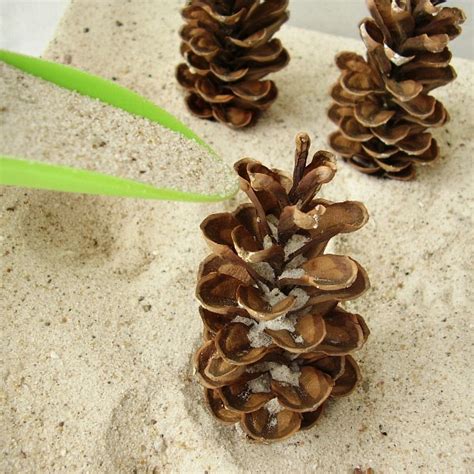 Sandbox Sensory Activity with Pine Cones » Preschool Toolkit