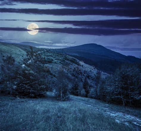 Path through the Forest in Mountains at Night Stock Photo - Image of hill, countryside: 56698380