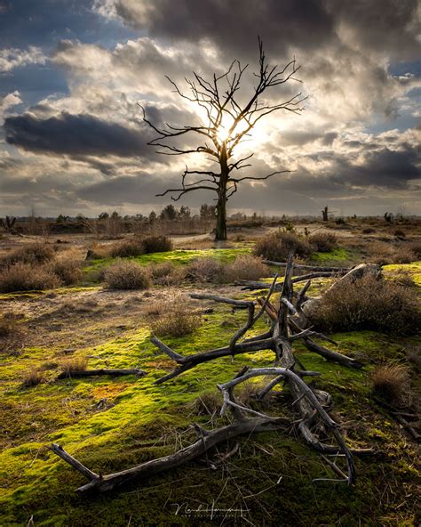 Using a Shallow Depth of Field for Landscapes | Fstoppers