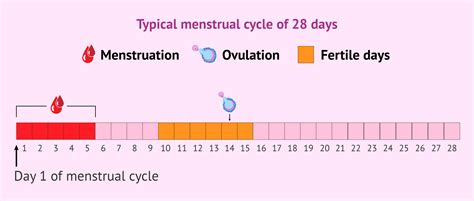 Most Fertile Days Calculator Aisleenelaf - buickcafe.com