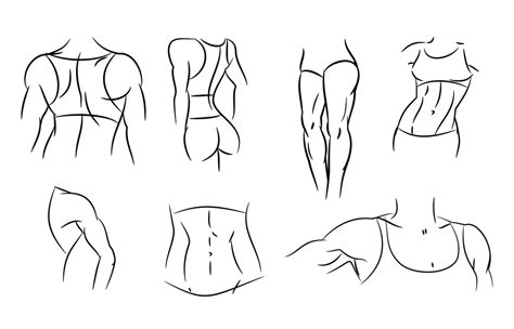 How To Draw Female Abs - Drawing.rjuuc.edu.np