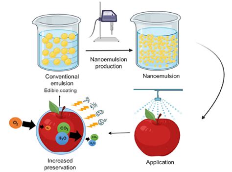 Stay Fresh: Ways to Control Fruit Ripening | DPO International