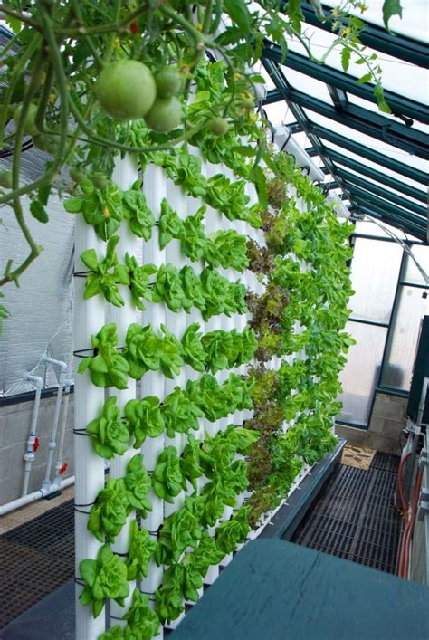 Famous Diy A-Frame Vertical Hydroponic Garden System Ideas - One Skill