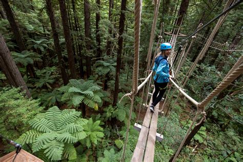 The Ultimate Tree Top Adventure In Rotorua | Redwoods Altitude