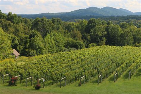 Here’s Where to Sip, Eat, And Stay In Virginia’s Wine Country - Better ...