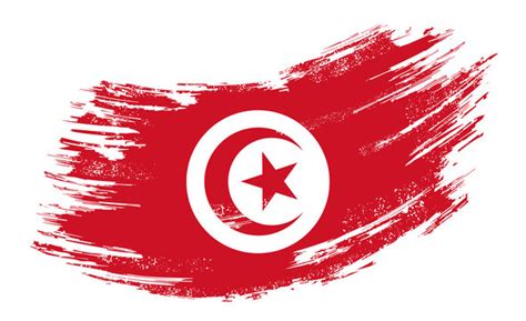 "Tunisian Flag" Images – Browse 2,208 Stock Photos, Vectors, and Video ...