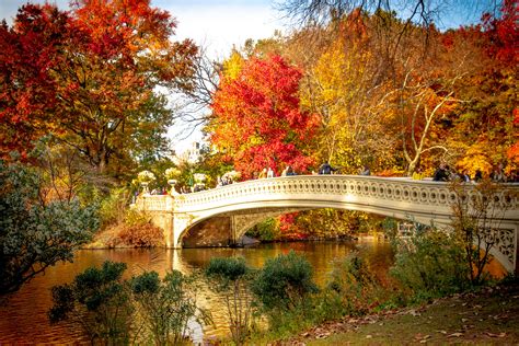 PHOTOS: l'automne à Central Park nous donne envie de foncer à New York