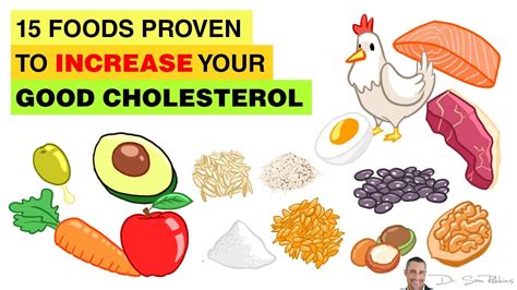 🥥 HDL - 15 Foods Proven To Increase Your Good Cholesterol - by Dr Sam ...