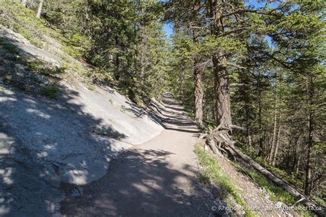 Tunnel Mountain Hike- Guide to Hiking Tunnel Mountain Trail