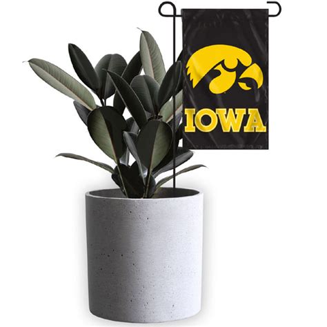 Iowa Hawkeyes Mini Garden Flag