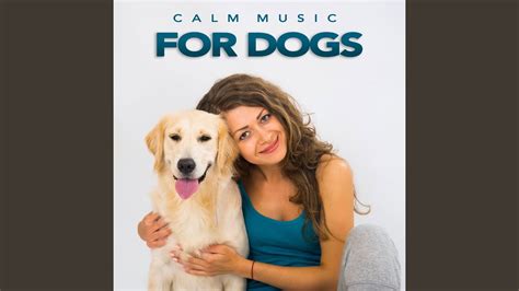 Calm Dog Music - YouTube