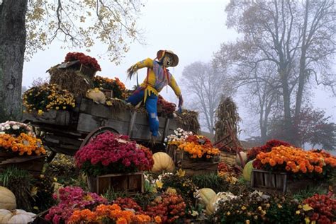 Smoky Mountain Harvest Festival | Gatlinburg vacation, Smoky mountains, Tennessee vacation