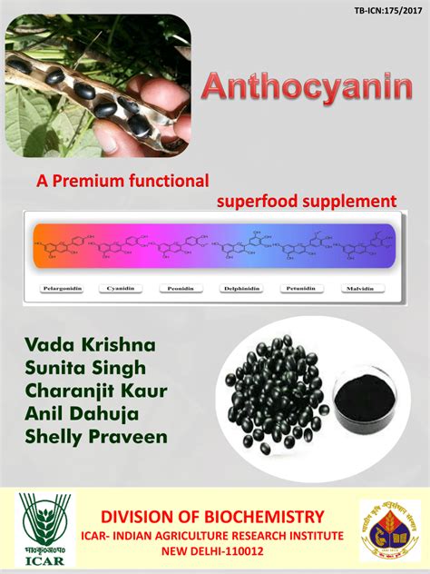 (PDF) Anthocyanin: A functional superfood supplement.