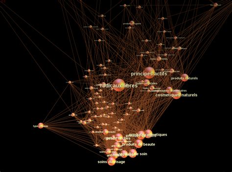 Ha Lam: Gephi and network analysis tools