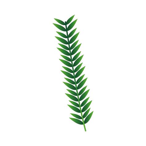 Isolated green leaf vector design 2725554 Vector Art at Vecteezy